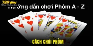 Cách Chơi Phỏm