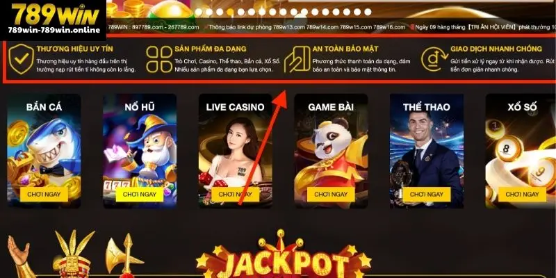Khám phá chính sách bảo mật tại 789WIN