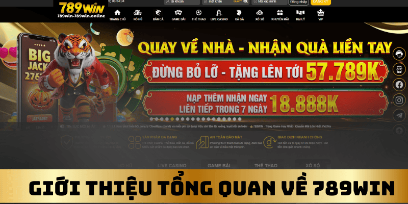 Giới Thiệu Tổng Quan về 789win