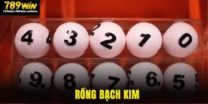 Rồng Bạch Kim
