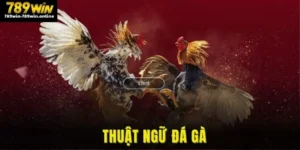 Thuật Ngữ Đá Gá